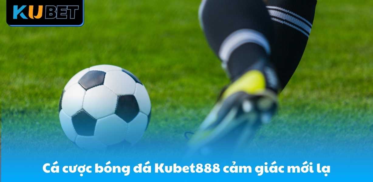 Cá cược bóng đá CN3979.NET luôn mang đến cảm giác mới lạ