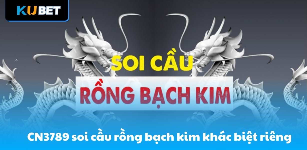 CN3789 soi cầu rồng bạch kim mang điểm khác biệt riêng